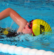 Schwimm-Veranstaltungen bei L.E. Sport e.V.